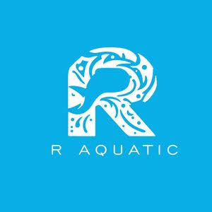 Tips Merawat Aquarium Agar Tetap Jernih